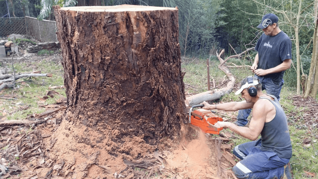 stump removal pymble