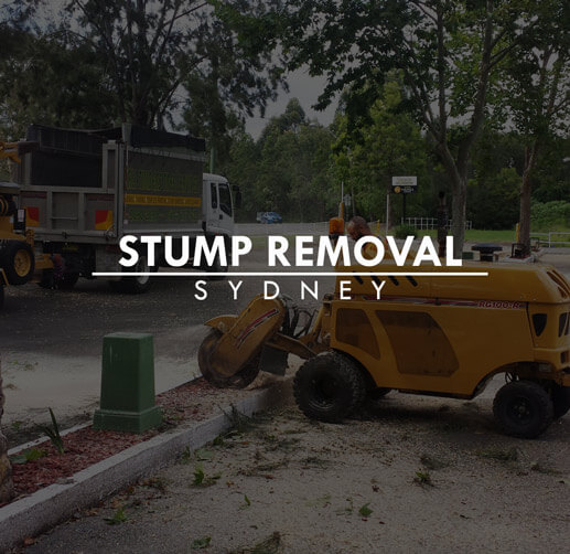 Stump Removal Sydney