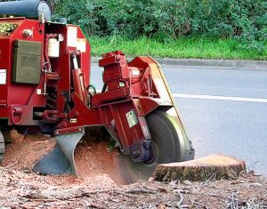 Stump Grinding Services Hornsby