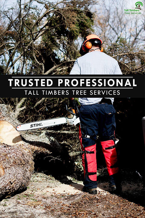 Trusted Professional Tall Timbers Tree Services