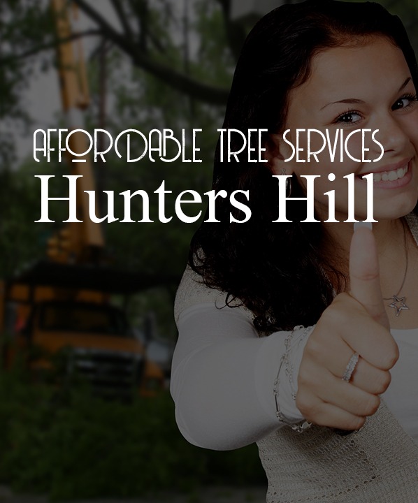 Affordable tree services hunters hill