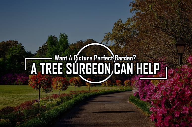 tree-surgeon