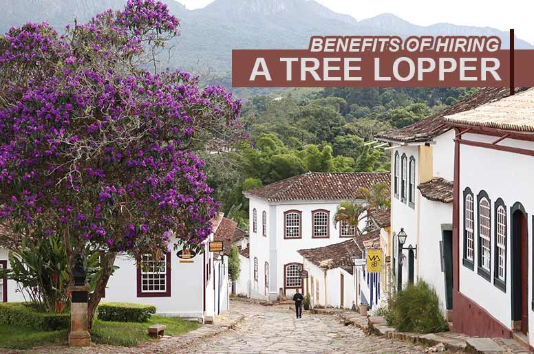 benefits of hiring a tree lopper