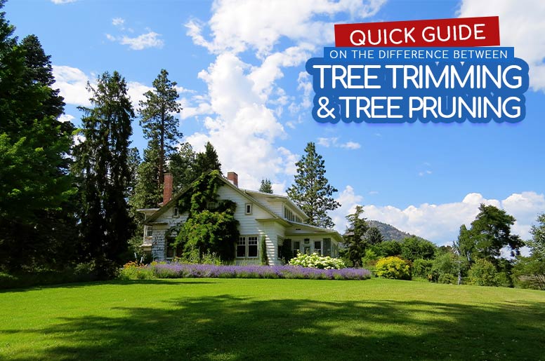 the difference between tree trimming and tree pruning