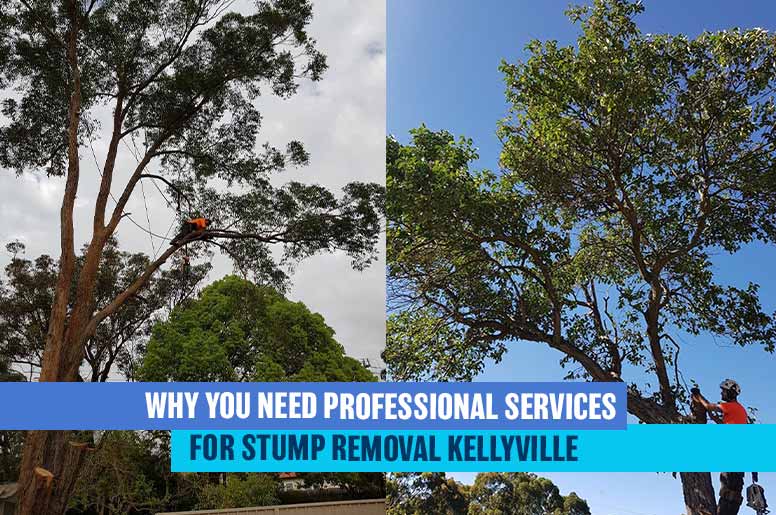 stump removal kellyville