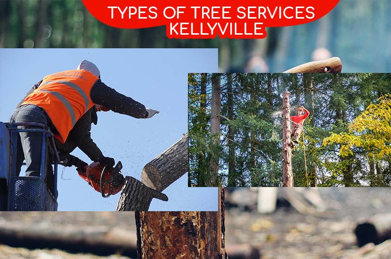 types of tree services kellyville
