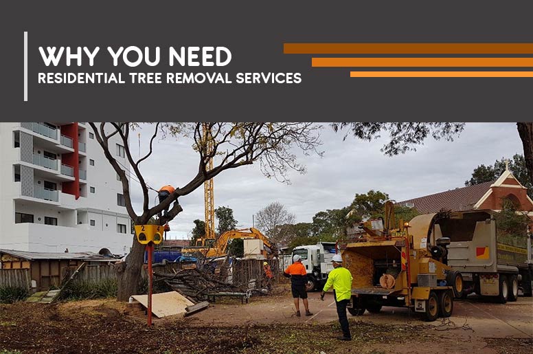 residential tree removal services