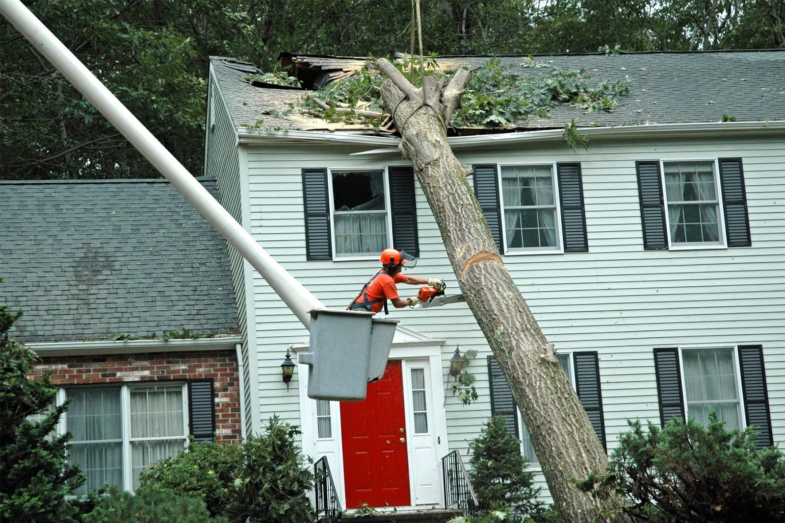 Tree Care After Extreme Weather: Emergency Tree Services Guide
